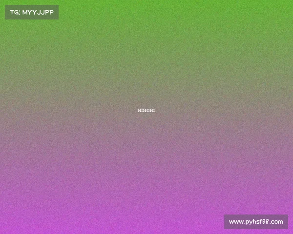 旅游卫视节目表